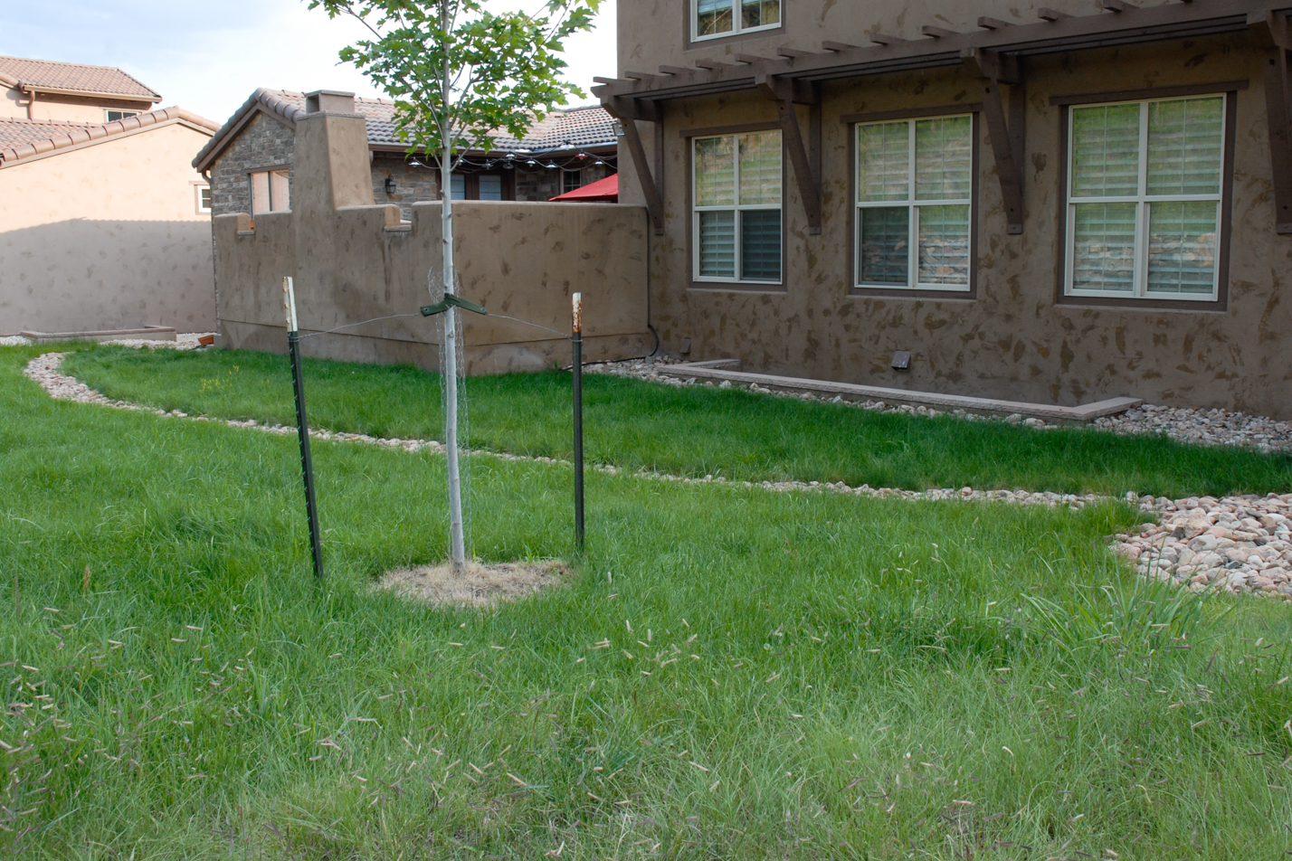 Patio Home Curb Appeal